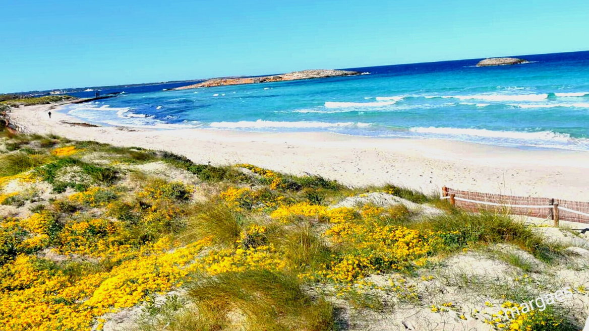A sand spit that seems to split the sea into two is just one of the attractions of Ses Illetes, north of Formentera