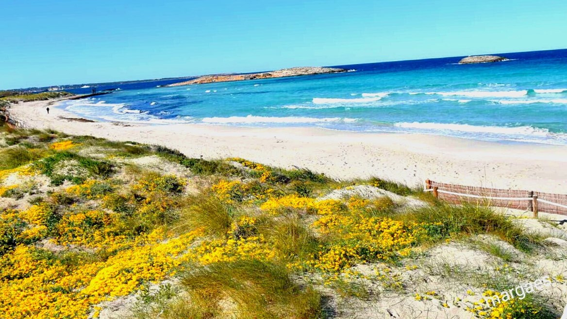 A sand spit that seems to split the sea into two is just one of the attractions of Ses Illetes, north of Formentera