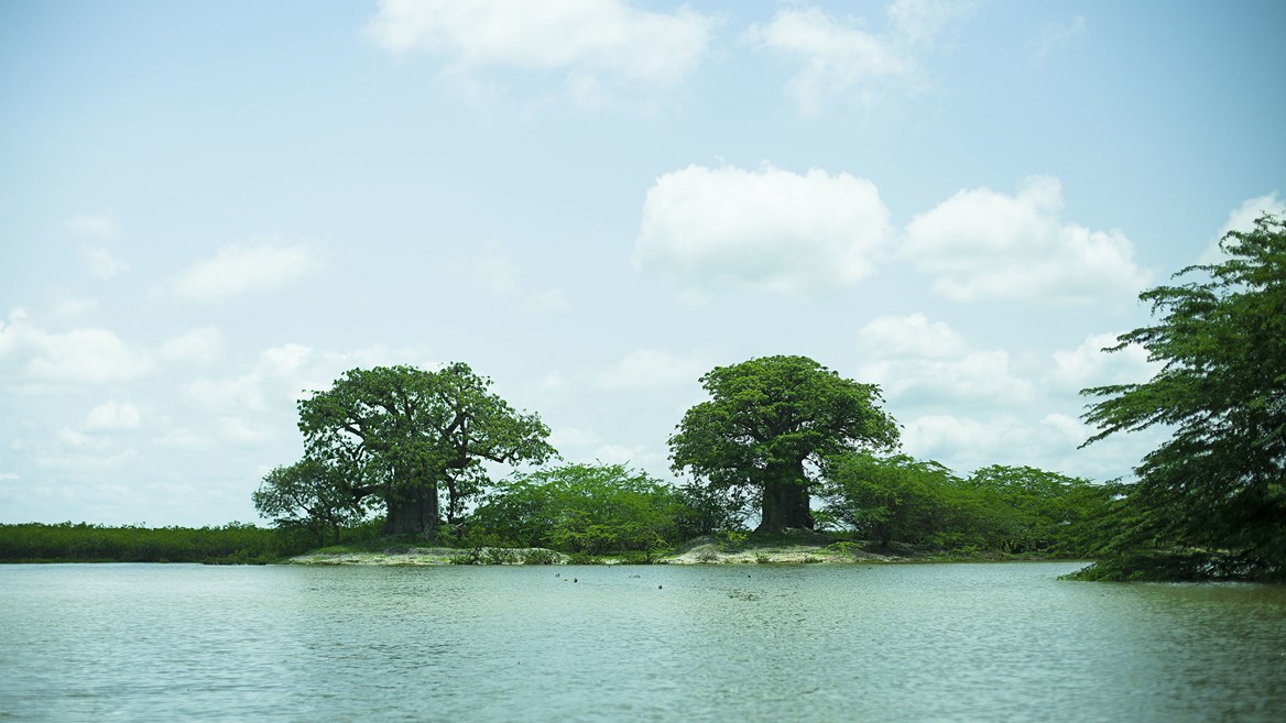 Senegal’s landscapes are mind-blowing. The light of the Atlantic, the breeze from the Sahara Desert and the intense colours of the tropics are magical