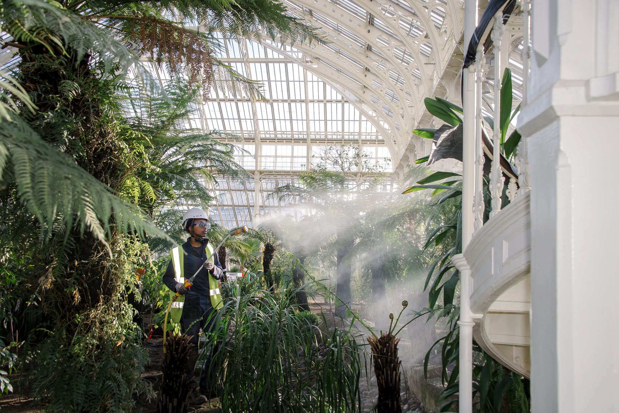 On May 5, the iconic Temperate House will reopen to the public