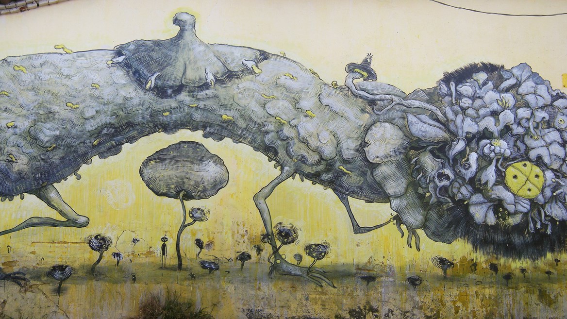 Street art in Oxaca Mexico