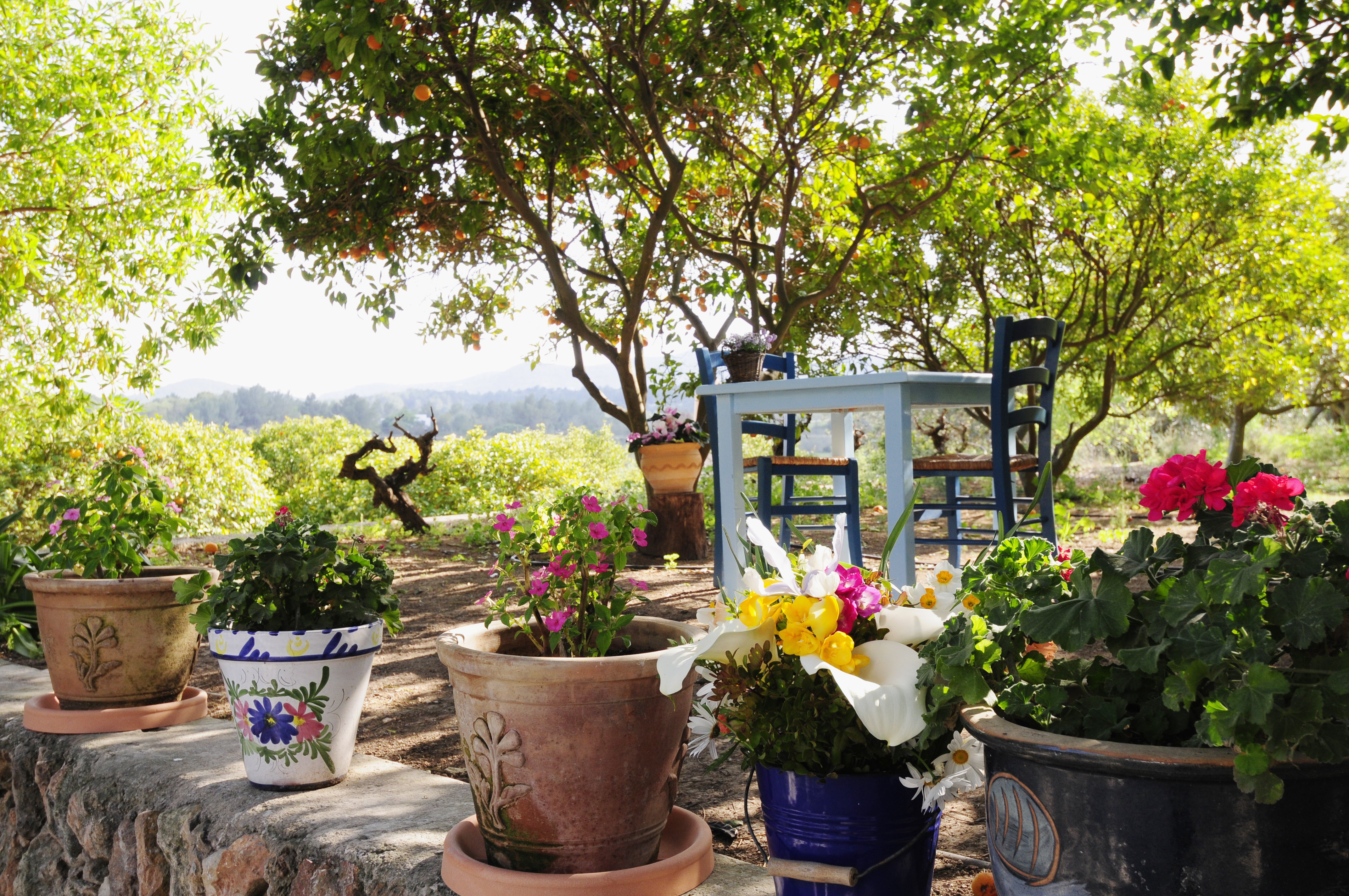 Café La Paloma uses 100% ecological ingredients 