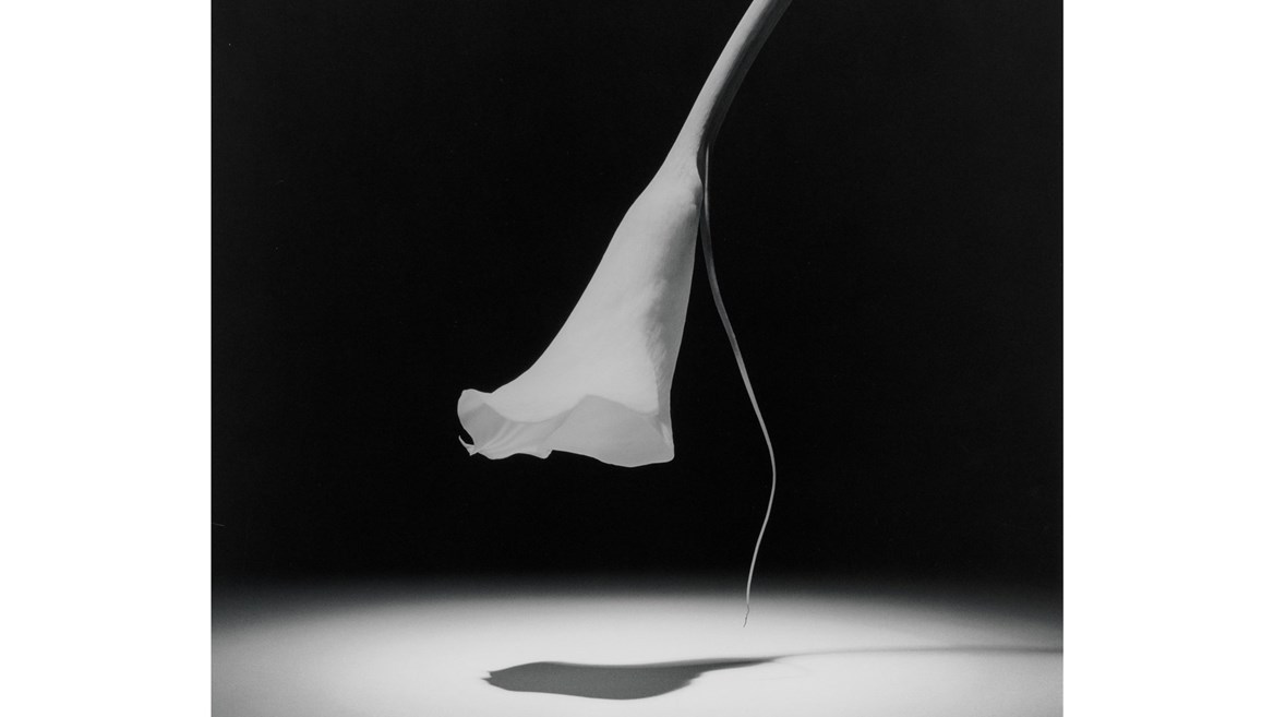 La fotografía de Robert Mapplethorpe
