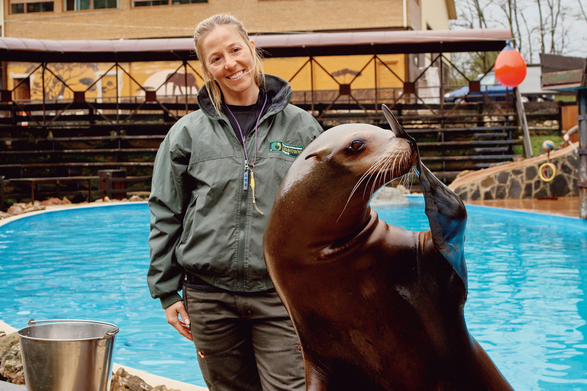 A seal at the Cabárceno Nature Park in Santander