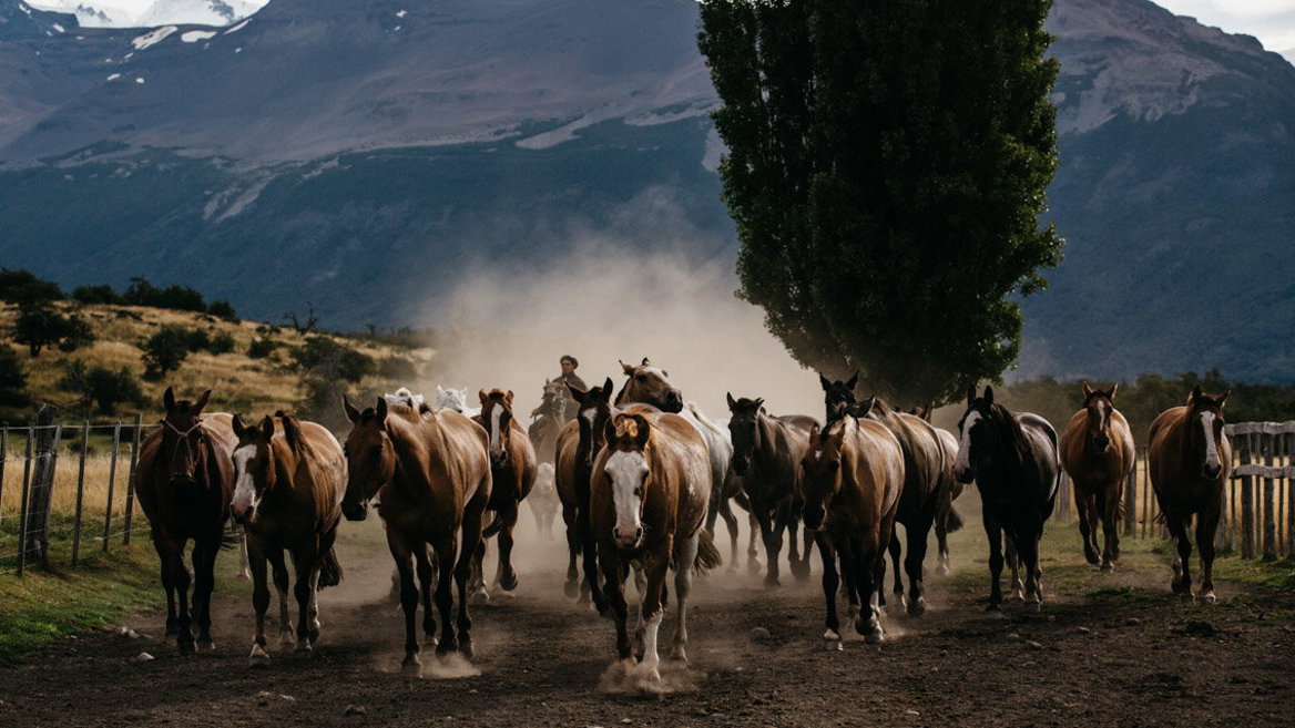 gauchos patagonia argentina
