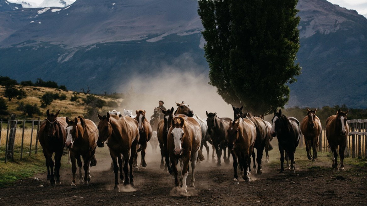 gauchos patagonia argentina
