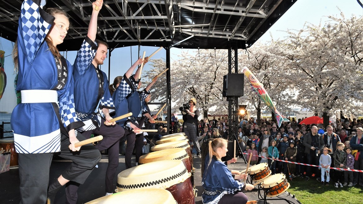 Every spring, more than 35,000 guests go to Landelinie Park – famous for its Mermaid statue – to join the Japanese celebrating Copenhagen’s Sakura Festival.