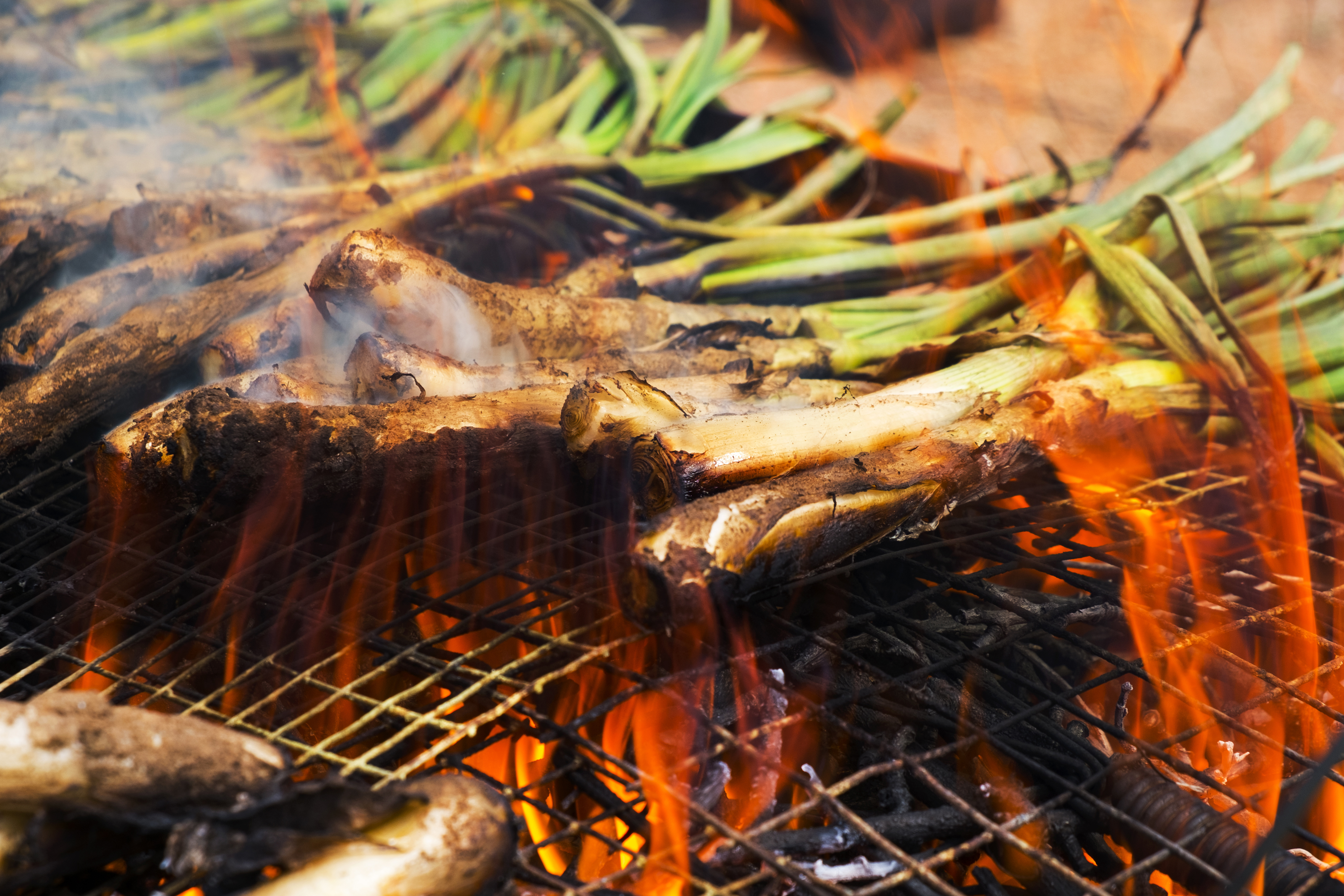 The calçotadas, a classic of the Catalan winter