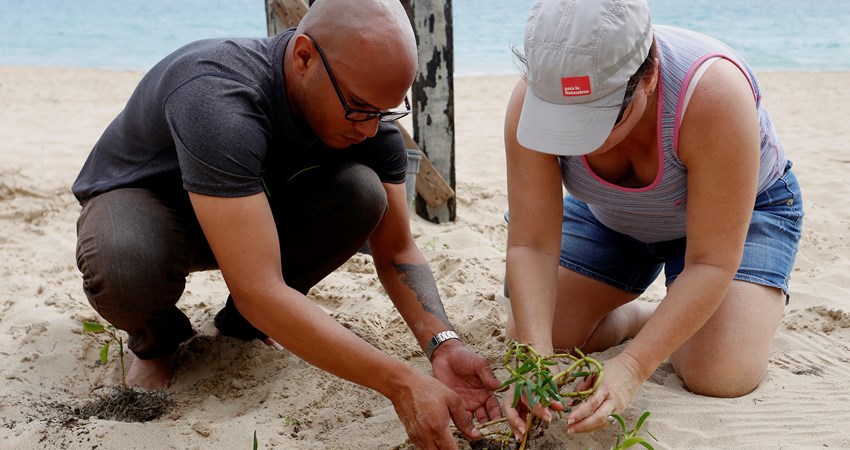 Sustainable holidays in Puerto Rico