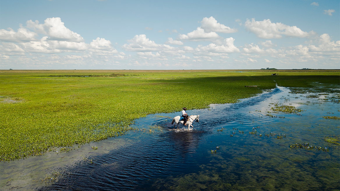 Greg Funnell, a well-known travel photographer, recommends Iberá National Park in Argentina as a 2020 destination.