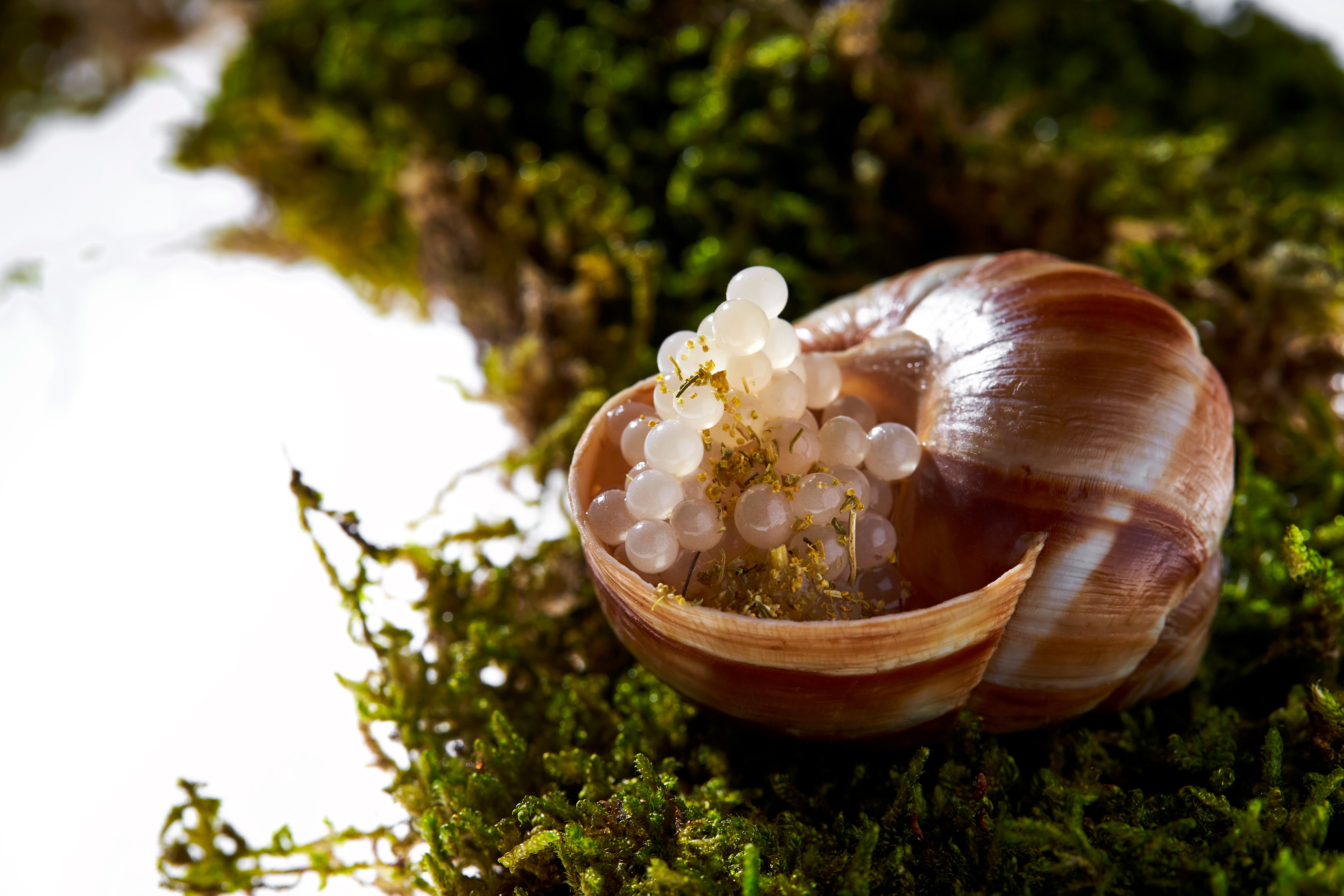 los seis restaurantes mas innovadores del mundo