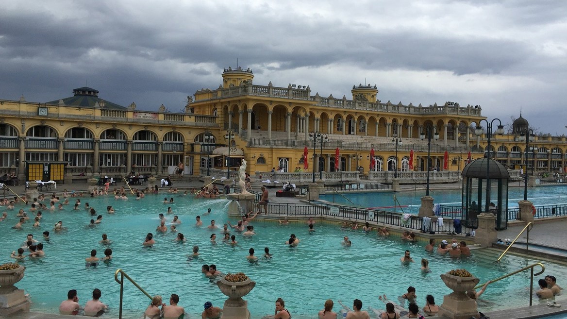 Széchenyi baths, in Budapest, are the largest medicinal thermal baths in Europe.