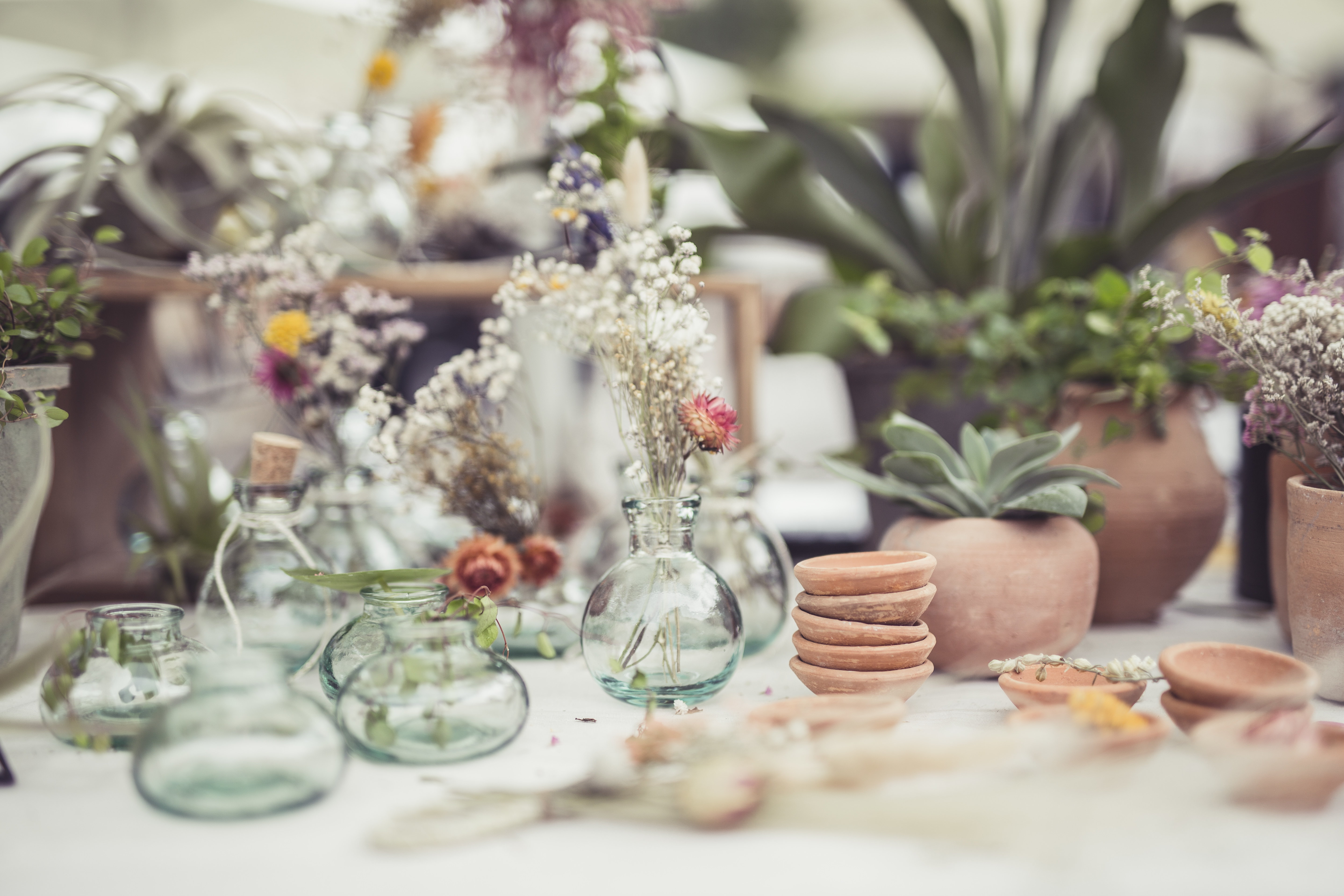 El 16 y 17 de mayo 2020 se celebra la 3ª edición de Flors al Mercat en Barcelona, un evento que reclama la existencia de un mercado de flores en la ciudad.