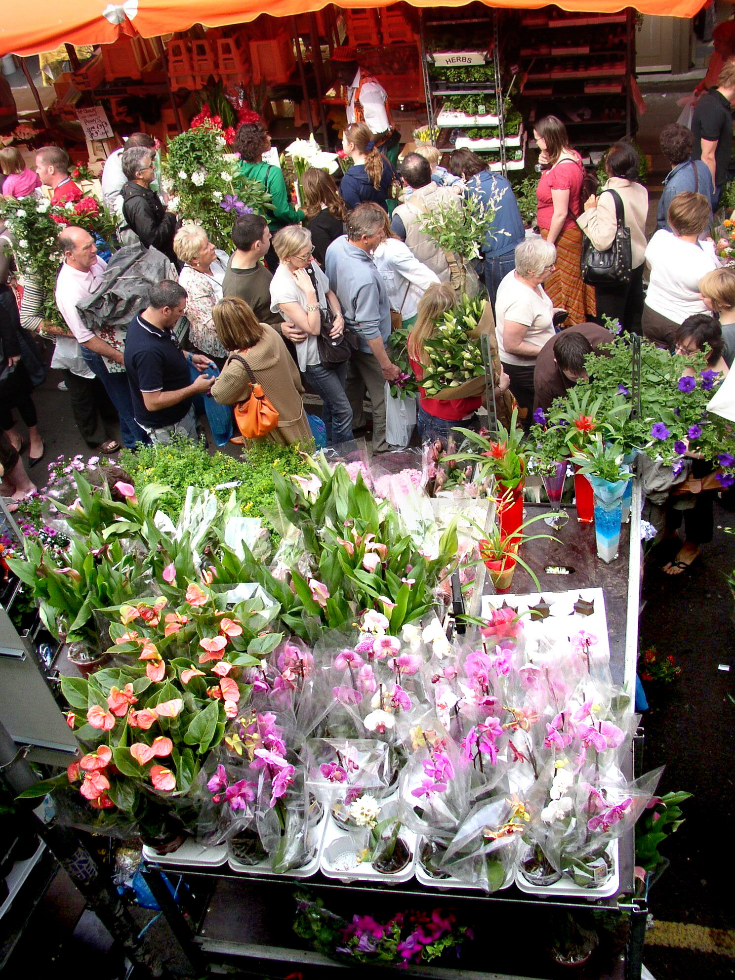 On Sundays in the spring, you can’t miss the famous Columbia Road Flower Market in London.
