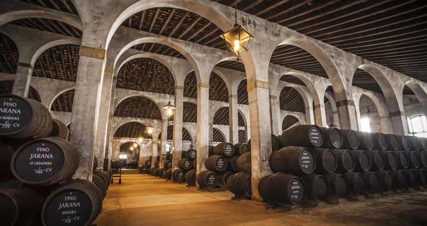 Nueva exposición de Pío Cabanillas en Bodegas Tradición, Jerez