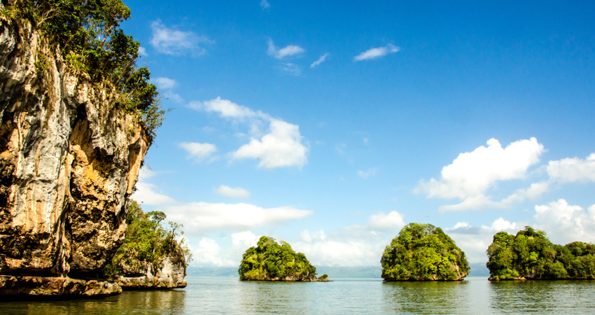 In Los Haitises National Park, a population of dolphins lives freely and can be seen doing pirouettes on the water.