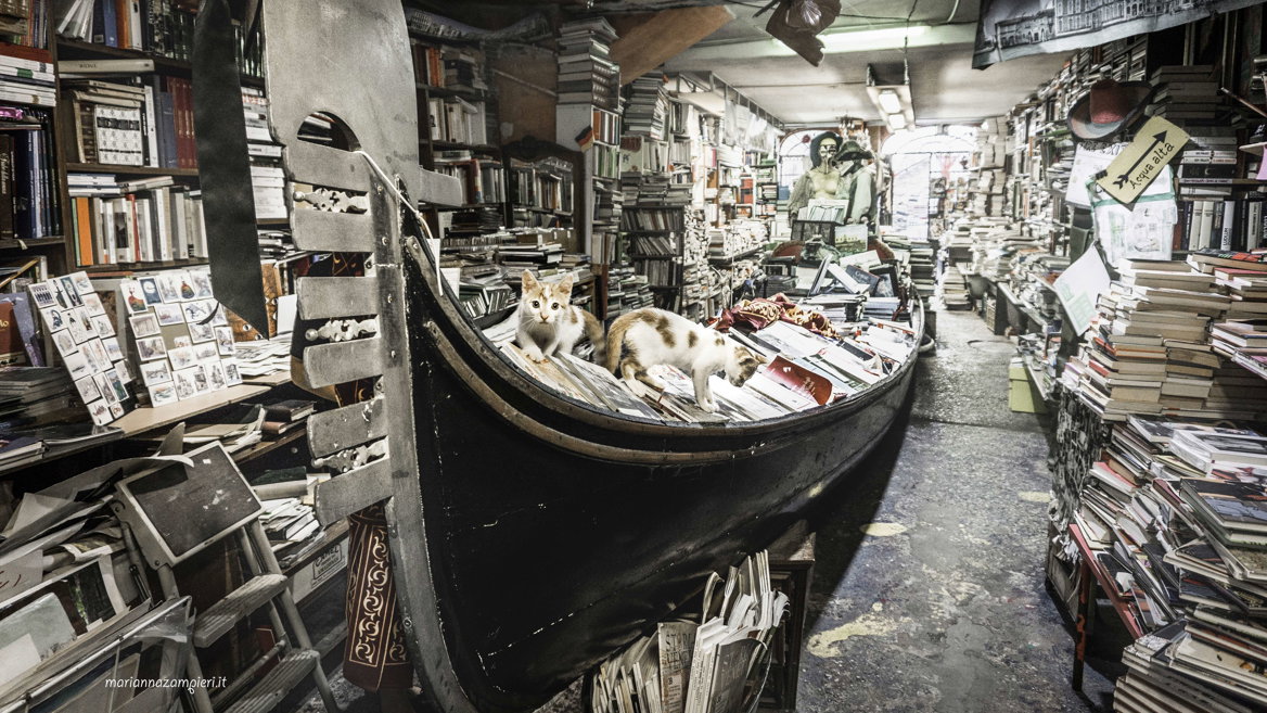 La librería Acqua Alta es la más original de toda Venecia y probablemente del mundo.