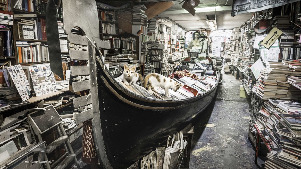La librería Acqua Alta es la más original de toda Venecia y probablemente del mundo.