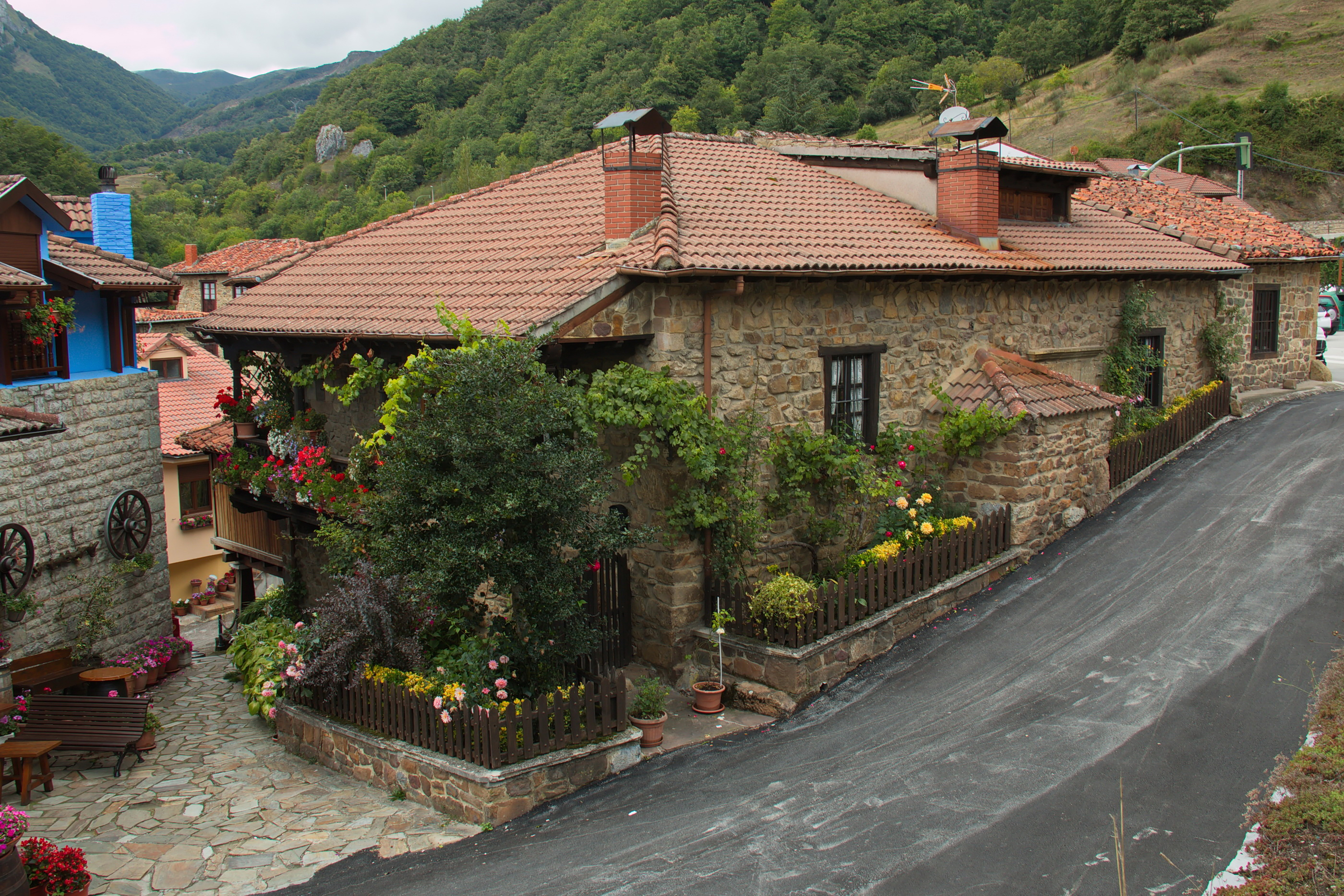La ruta de los Acebos de Espinama atraviesa el pueblo de Pido y es una de las mejores rutas fáciles para descubrir Picos de Europa en tu visita a Cantabria.
