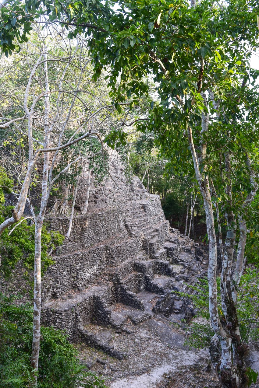 The temple of La Danta is the tallest of the Mayan period, at 72m high.