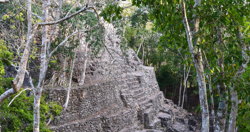 El templo de La Danta es la pirámide más alta de todo el mundo maya. Se levanta 72 metros.