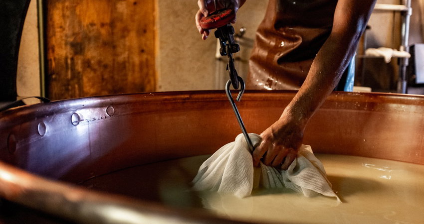 Gruyères es la patria de un queso medieval con fama de agujereado: sus primeras referencias datan del siglo XII y se puede conocer su elaboración en la fábrica de Moléson-sur-Gruyères.
