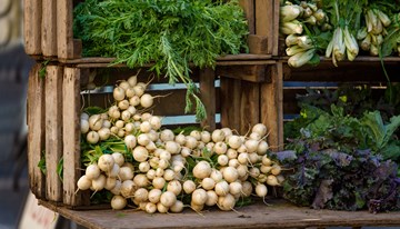 mejores mercados de productores locales en nueva york