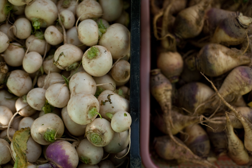 Jackson Heights Greenmarket es el mercado agrícola más grande de Queens y uno de los más animados de la ciudad de Nueva York.