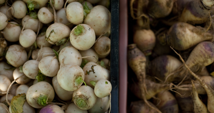 Jackson Heights Greenmarket es el mercado agrícola más grande de Queens y uno de los más animados de la ciudad de Nueva York.