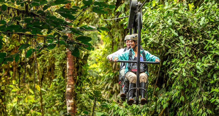 If you’re passionate about adventure tourism and you’re travelling to Ecuador, you have to enjoy one of the experiences offered by Mashpi Lodge in the Mashpi Rainforest Reserve.