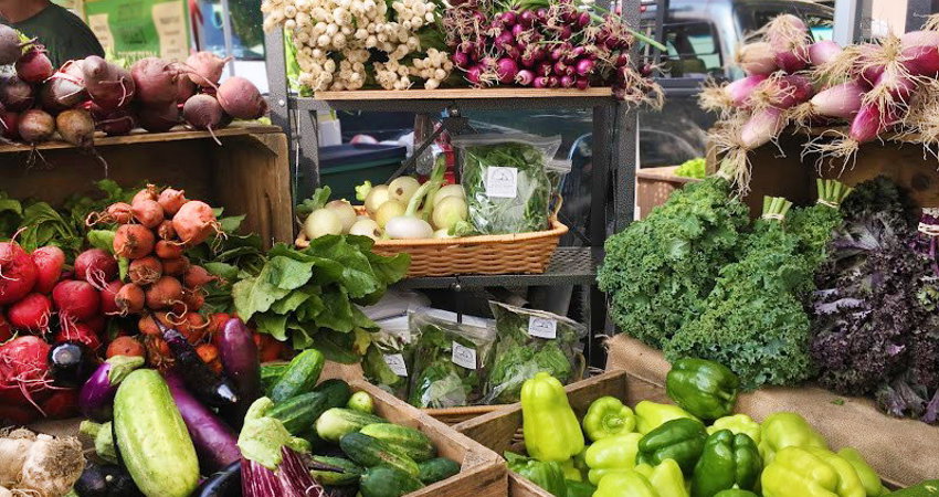 The Union Square Greenmarket, one of the best local farmers markets in New York.