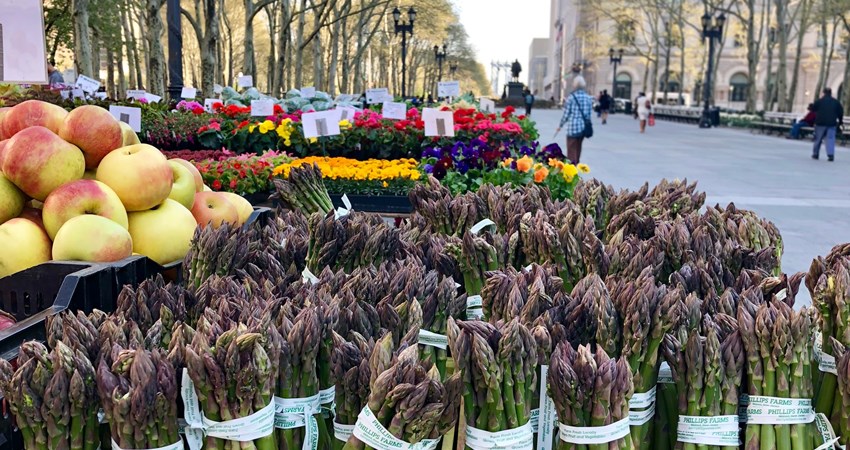 Offering organic produce and artisanal delicacies from local family farms, the Brooklyn Borough Hall Greenmarket is one of the best in New York.