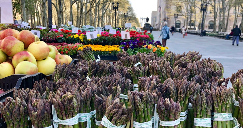 Offering organic produce and artisanal delicacies from local family farms, the Brooklyn Borough Hall Greenmarket is one of the best in New York.