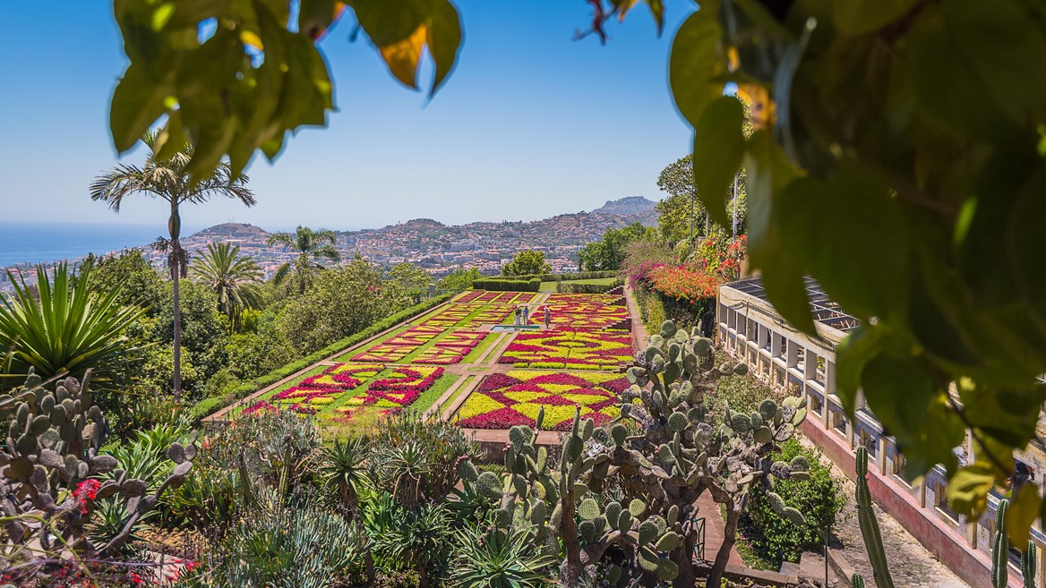 El Jardín Botánico de Funchal alberga 2.000 plantas exóticas procedentes de todo el mundo y es uno de los lugares imprescindibles en una visita a Madeira