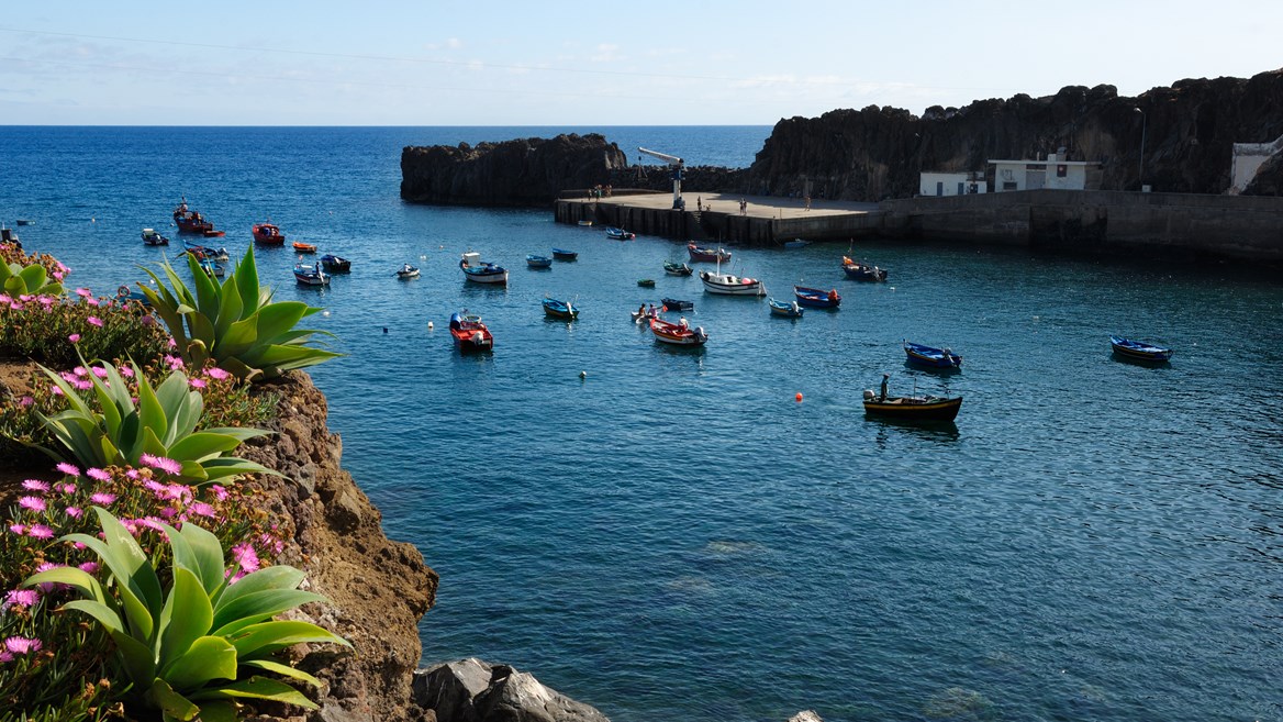 Câmara de Lobos es uno de los pueblos pesqueros con más encanto de Madeira