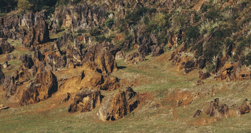 Los elefantes que viven en el Parque de la Naturaleza de Cabárceno, a 20 km de Santander (Cantabria).