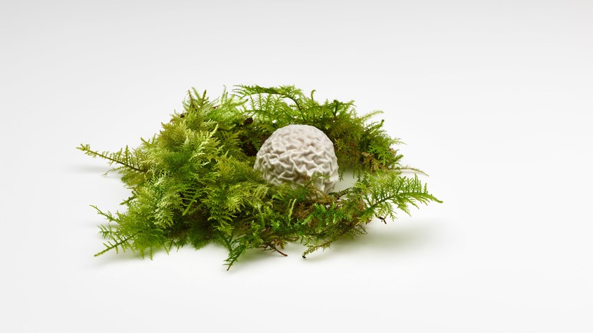 Bocado de recuerdo en Mugaritz