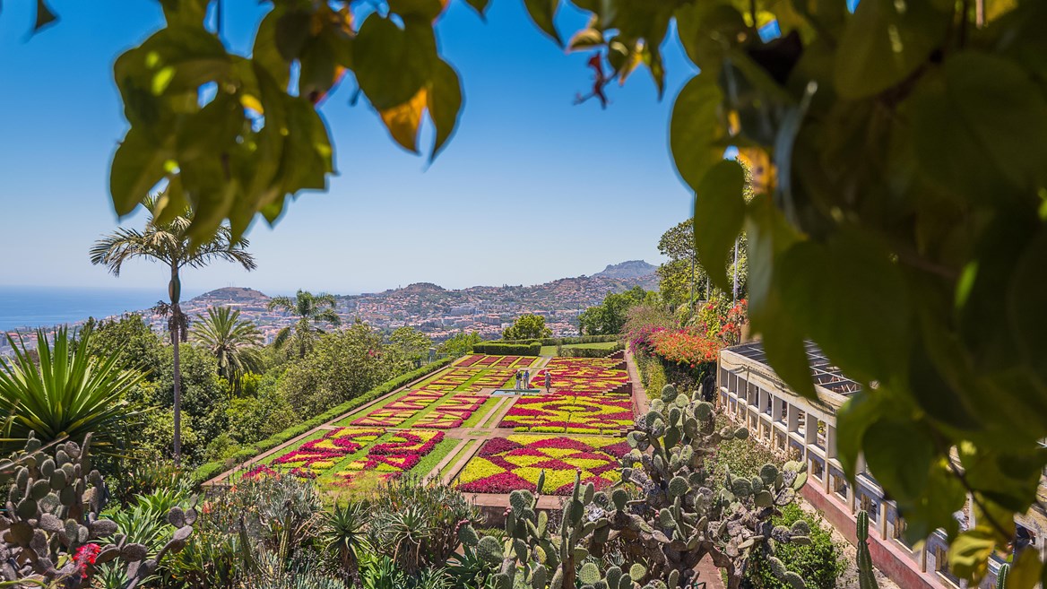 Funchal’s botanical garden is home to some 2,000 exotic plants from all over the world and is a must-visit while in Madeira.