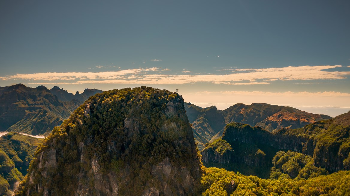 The majority of Madeira’s laurel forests are located on the north of the island