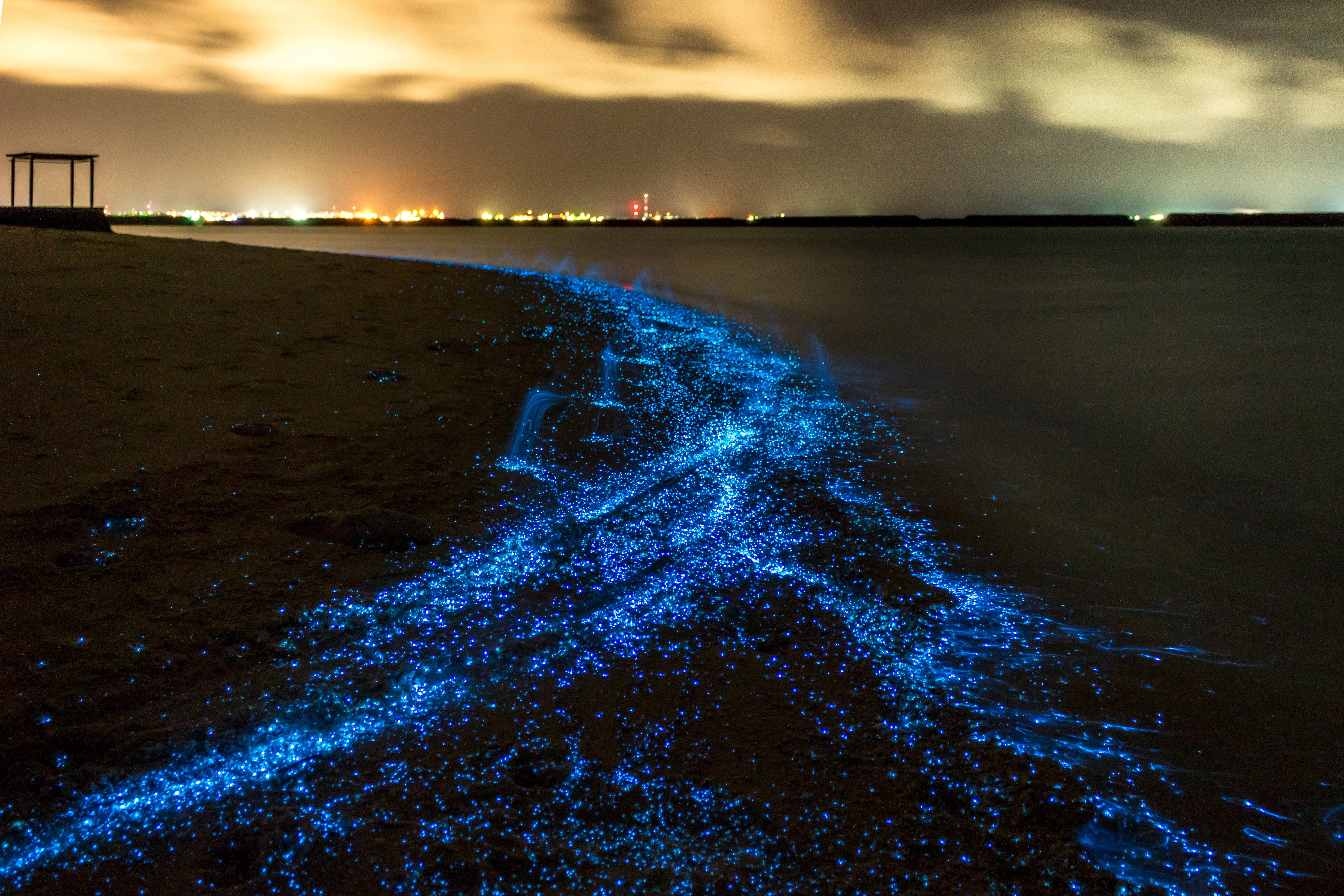 Enjoy the bioluminescence show on the island of Vaadhoo on your holiday in the Maldives.