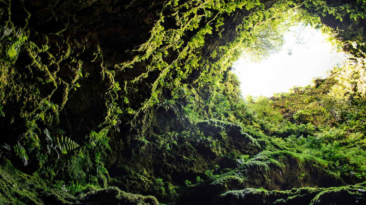 Don’t miss lava caves, such as the Algar do Carvão, when you visit Terceira in the Azores.