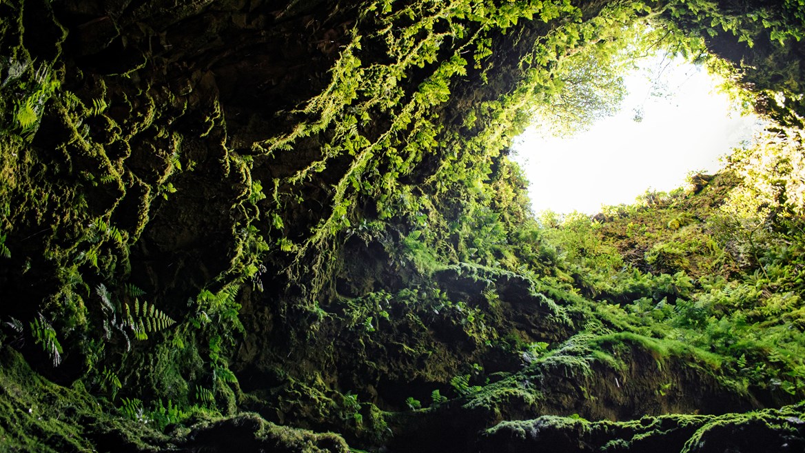 Don’t miss lava caves, such as the Algar do Carvão, when you visit Terceira in the Azores.