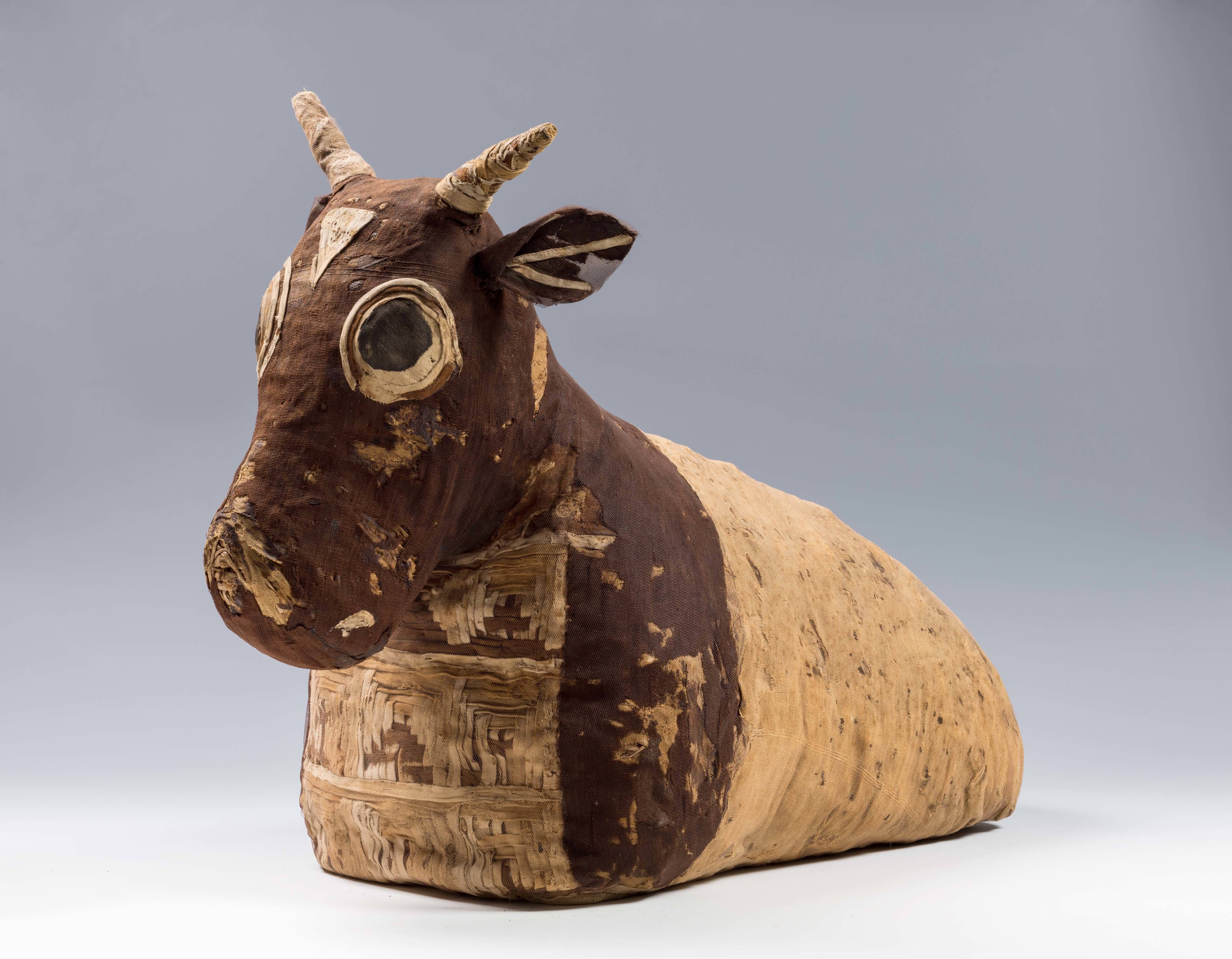 El Museo Egipcio de Turín alberga la colección de antigüedades egipcias más voluminosa después de la de El Cairo.