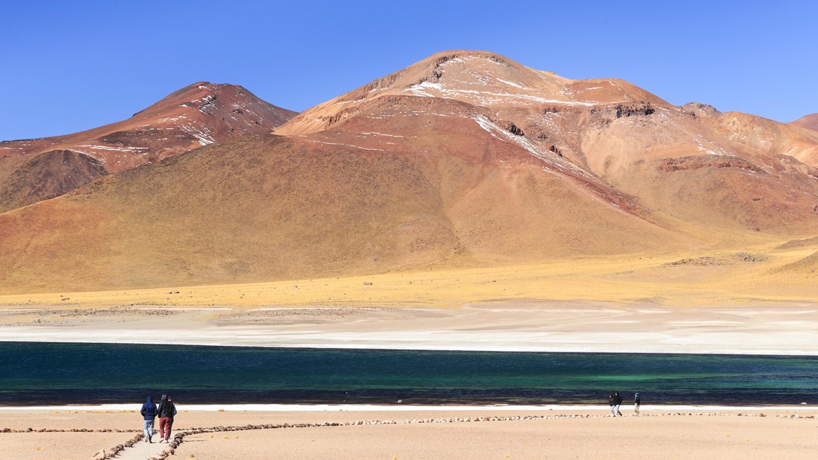 A más de 4.000 metros de altitud, las lagunas Miscanti y Miñiques, conocidas como Lagunas Altiplánicas, son de visita obligada en San Pedro de Atacama.