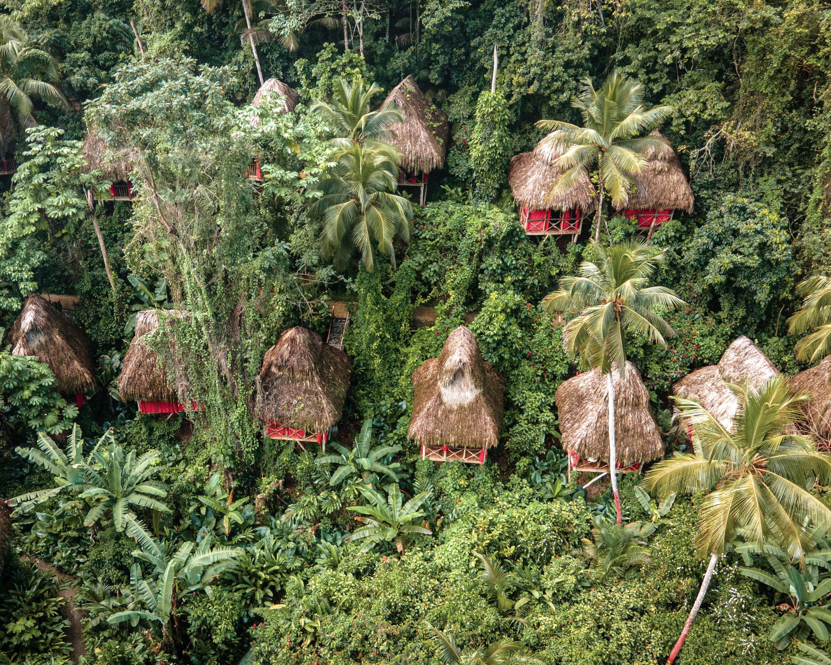 El Dominican Tree House Village en República Dominicana es una oportunidad perfecta para cumplir el sueño de dormir en una casa en un árbol.