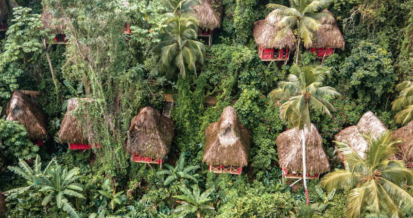 El Dominican Tree House Village en República Dominicana es una oportunidad perfecta para cumplir el sueño de dormir en una casa en un árbol.