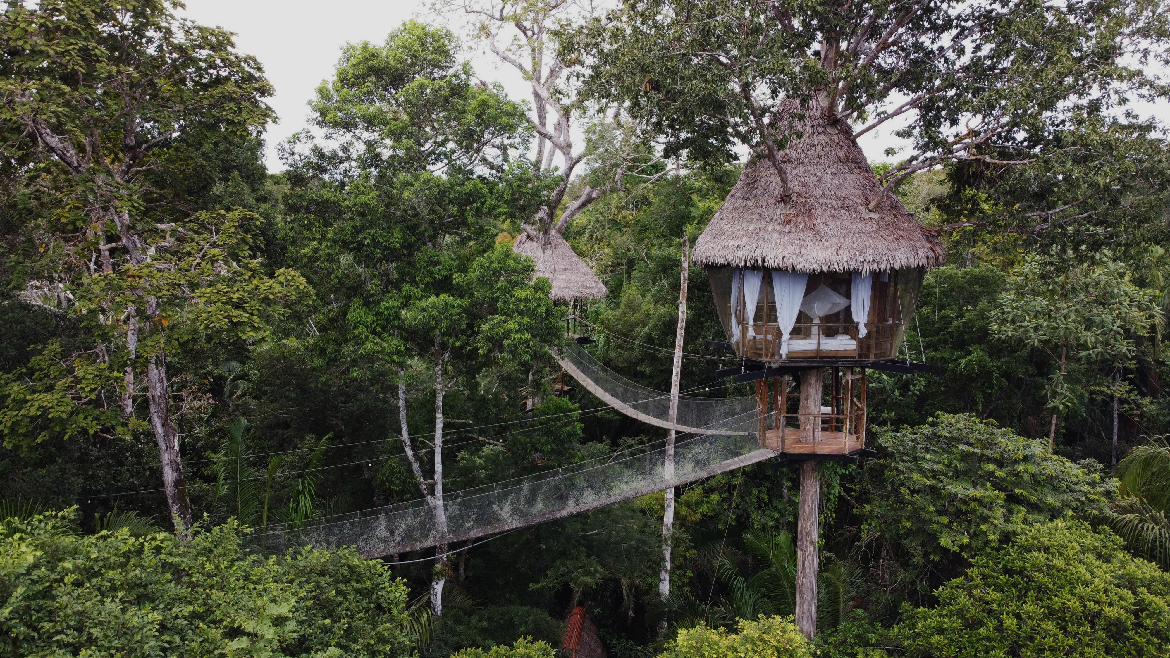 El Treehouse Lodge en Perú está en la lista de los nueve mejores hoteles en árboles de 2021 del portal de viajes TripSavvy.
