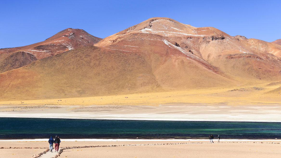 More than 4,000m high, the Miscanti and Miñiques lakes – known as the ‘high plain’ lakes, are an unmissable sight in San Pedro de Atacama.