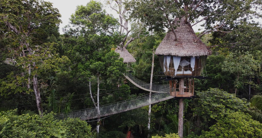 The Treehouse Lodge in Peru is on TripSavvy’s 2021 list of the nine best treehouse hotels.