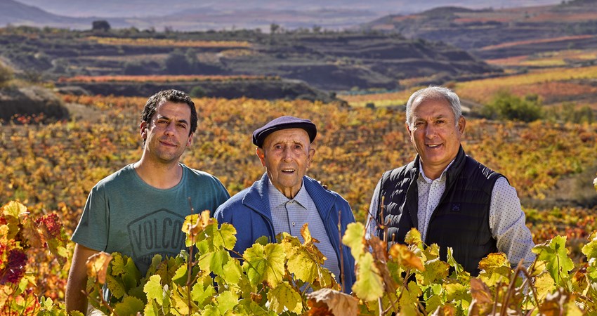 Disfruta de una ruta por la región productora de Ribera del Duero y visita Dominio de Cair
